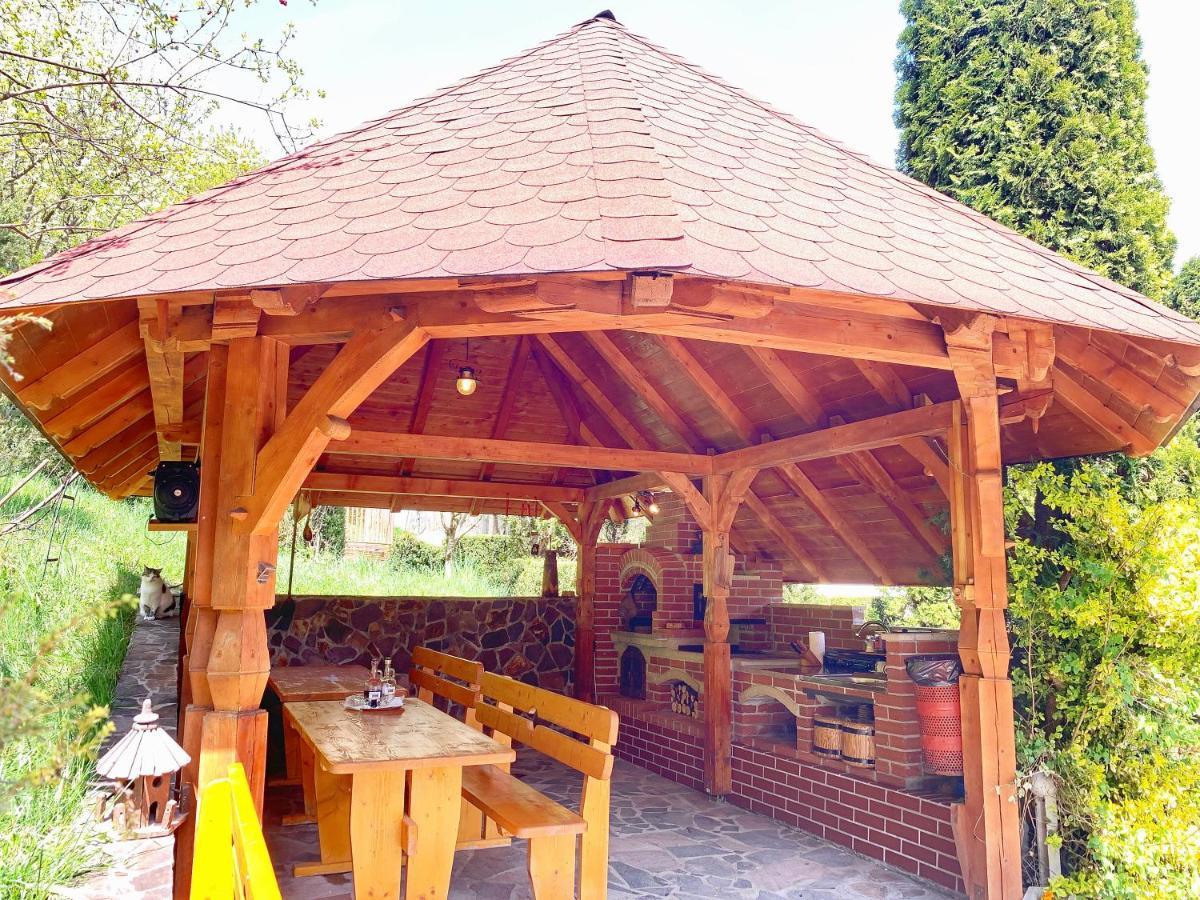 Pensiunea Eladi Borşa Extérieur photo