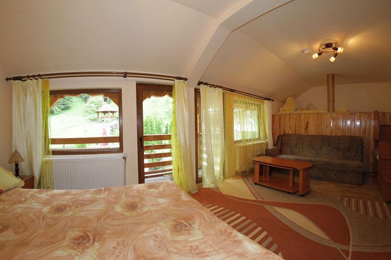 Pensiunea Eladi Borşa Extérieur photo