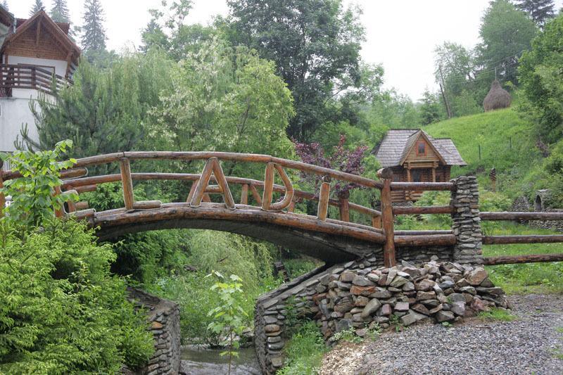 Pensiunea Eladi Borşa Extérieur photo