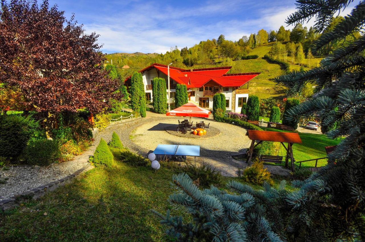 Pensiunea Eladi Borşa Extérieur photo