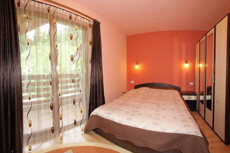 Pensiunea Eladi Borşa Extérieur photo