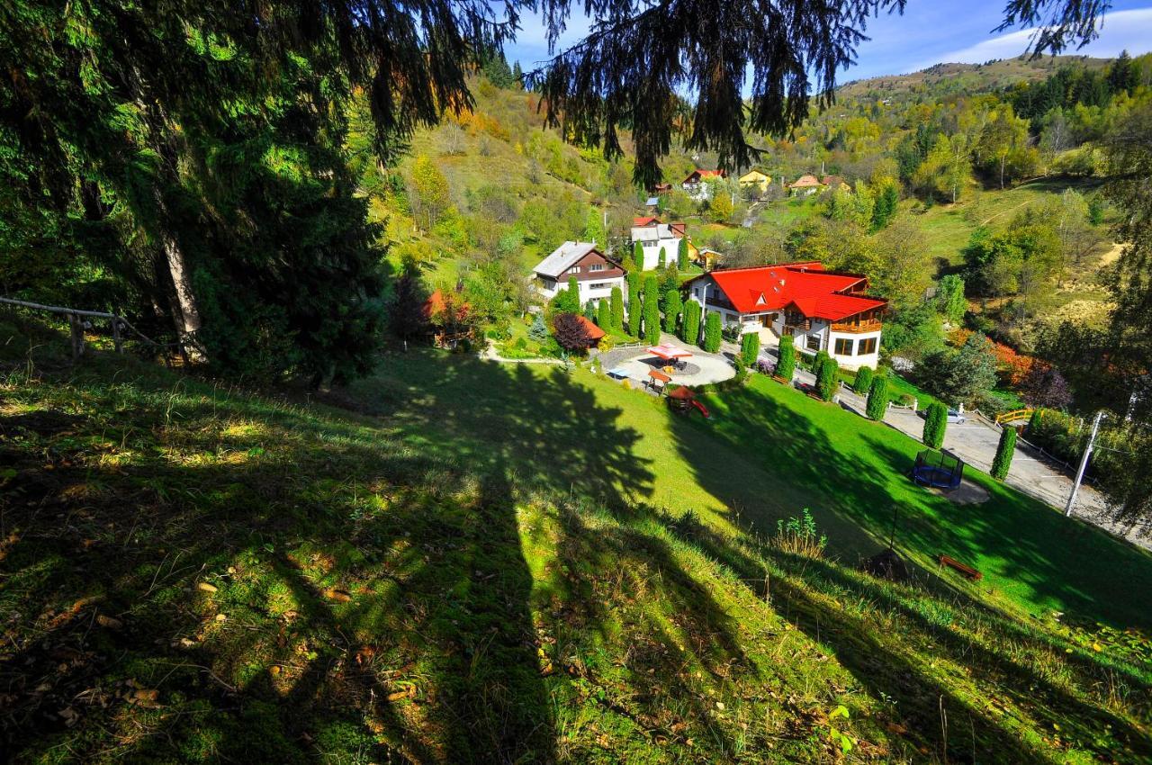 Pensiunea Eladi Borşa Extérieur photo