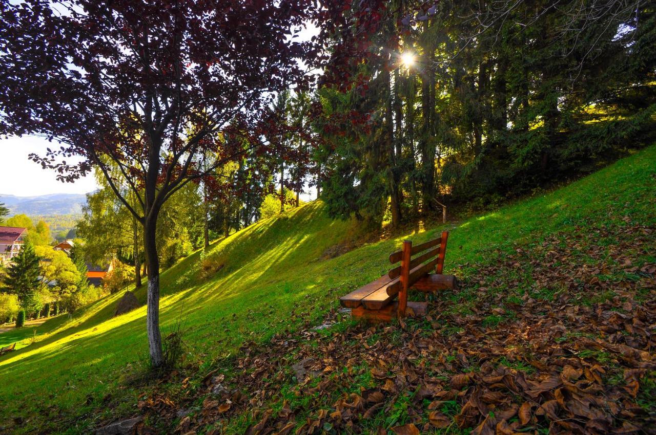 Pensiunea Eladi Borşa Extérieur photo