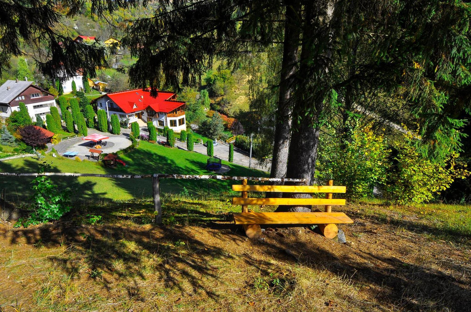 Pensiunea Eladi Borşa Extérieur photo