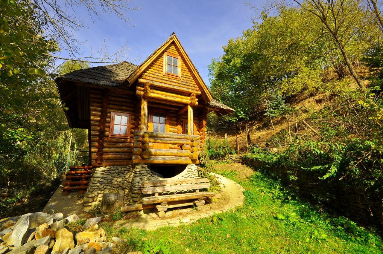Pensiunea Eladi Borşa Extérieur photo