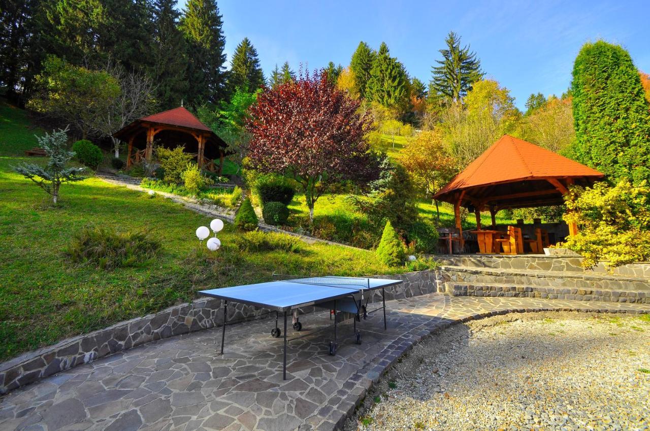 Pensiunea Eladi Borşa Extérieur photo