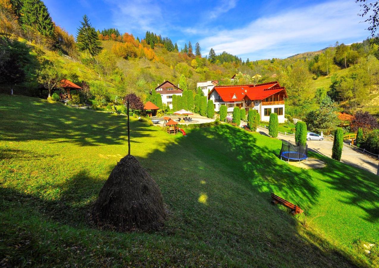 Pensiunea Eladi Borşa Extérieur photo
