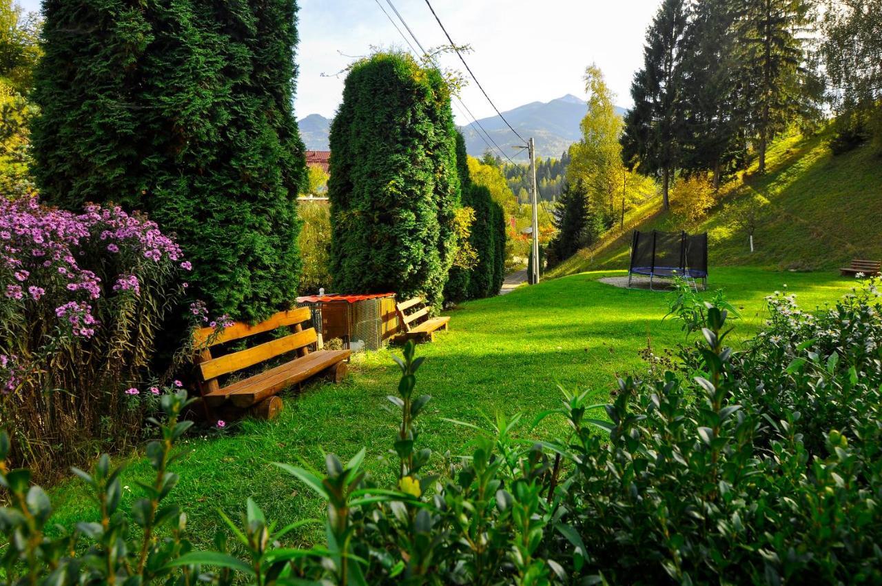 Pensiunea Eladi Borşa Extérieur photo